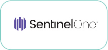 sentinel one