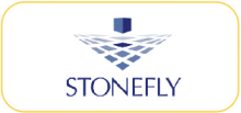 stonefly
